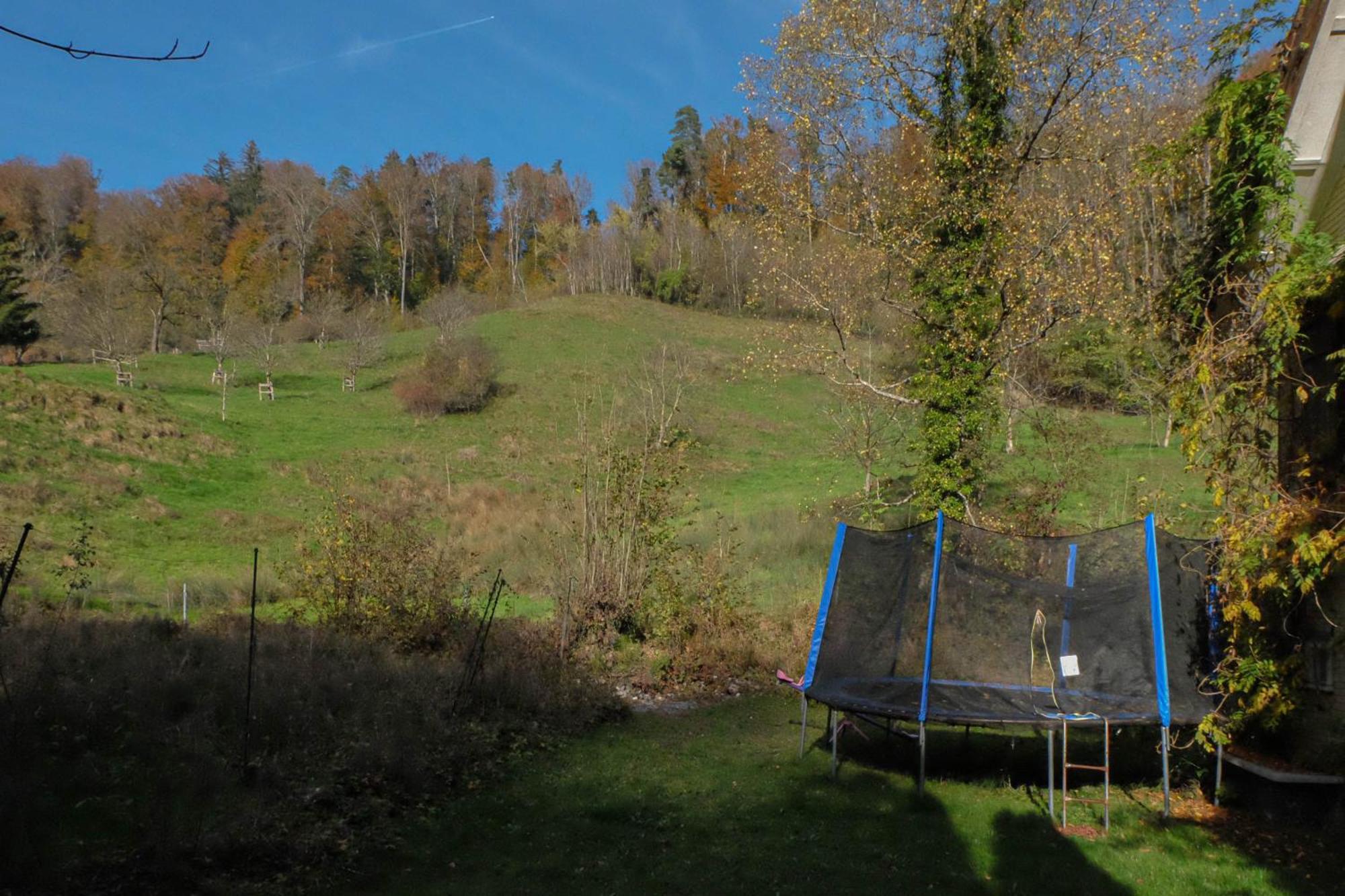 Ferienwohnung Im Gruenen Altstätten Extérieur photo